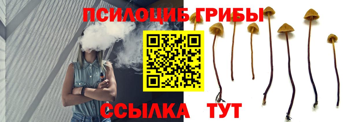 Псилоцибиновые грибы GOLDEN TEACHER Донецк
